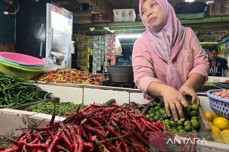 Harga Pangan Harian Harus Jadi Alat Peringatan Dini
